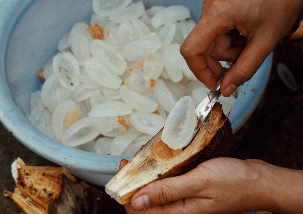 Ruột quả dừa nước ở Rừng dừa bảy mẫu